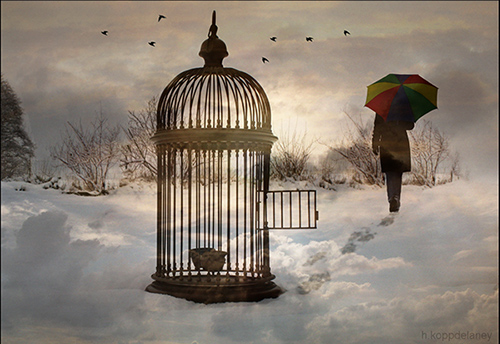 "Empty Cage" by Hartwig HKD
